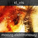 el_vis - Moozg elektronowy